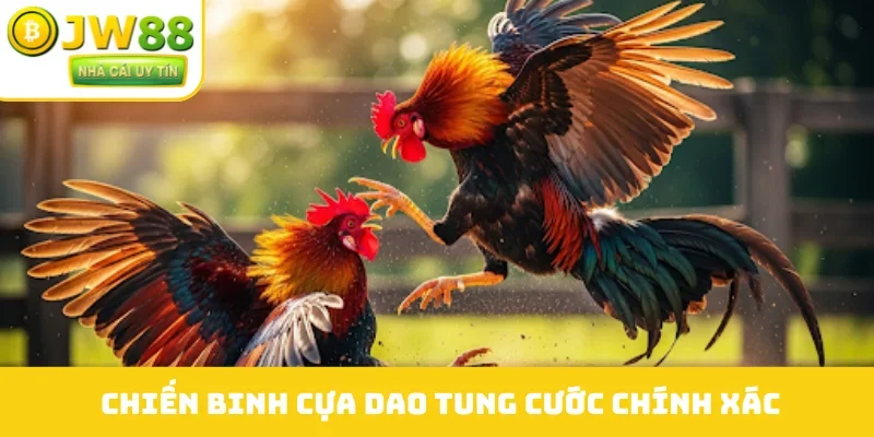 Chiến binh cựa dao tung cước chính xác