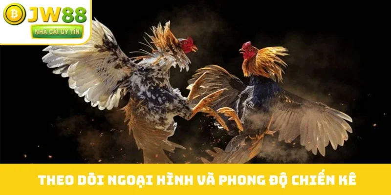 Theo dõi ngoại hình và phong độ chiến kê